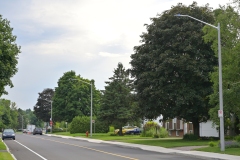 Model-S-on-Rue-Plante-Levis-13