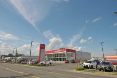 D3A_3906_00005-scaled